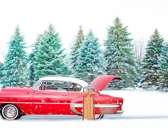 Cuidados para el vehículo en invierno con un coche estacionado en la nieve